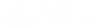 logo-auto